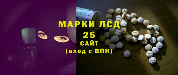 ПСИЛОЦИБИНОВЫЕ ГРИБЫ Верея