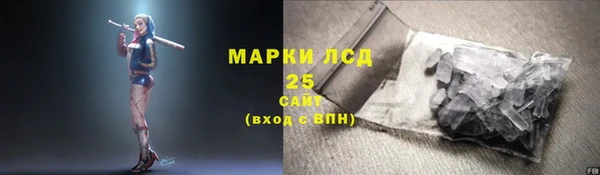 ПСИЛОЦИБИНОВЫЕ ГРИБЫ Верея
