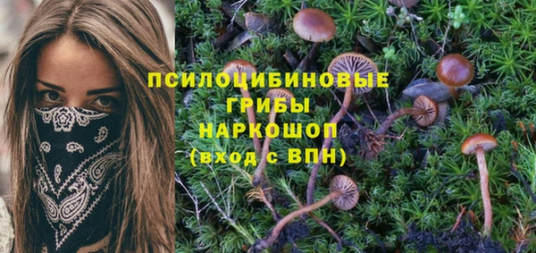 ПСИЛОЦИБИНОВЫЕ ГРИБЫ Верея