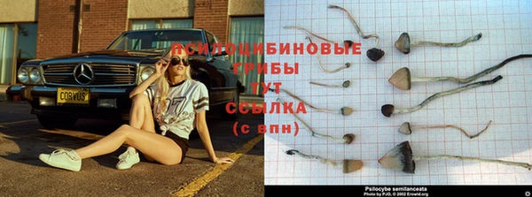 MDMA Premium VHQ Верхнеуральск