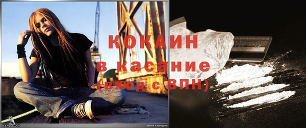 ПСИЛОЦИБИНОВЫЕ ГРИБЫ Верея