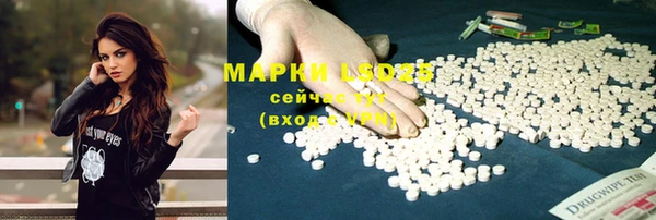 ПСИЛОЦИБИНОВЫЕ ГРИБЫ Верея